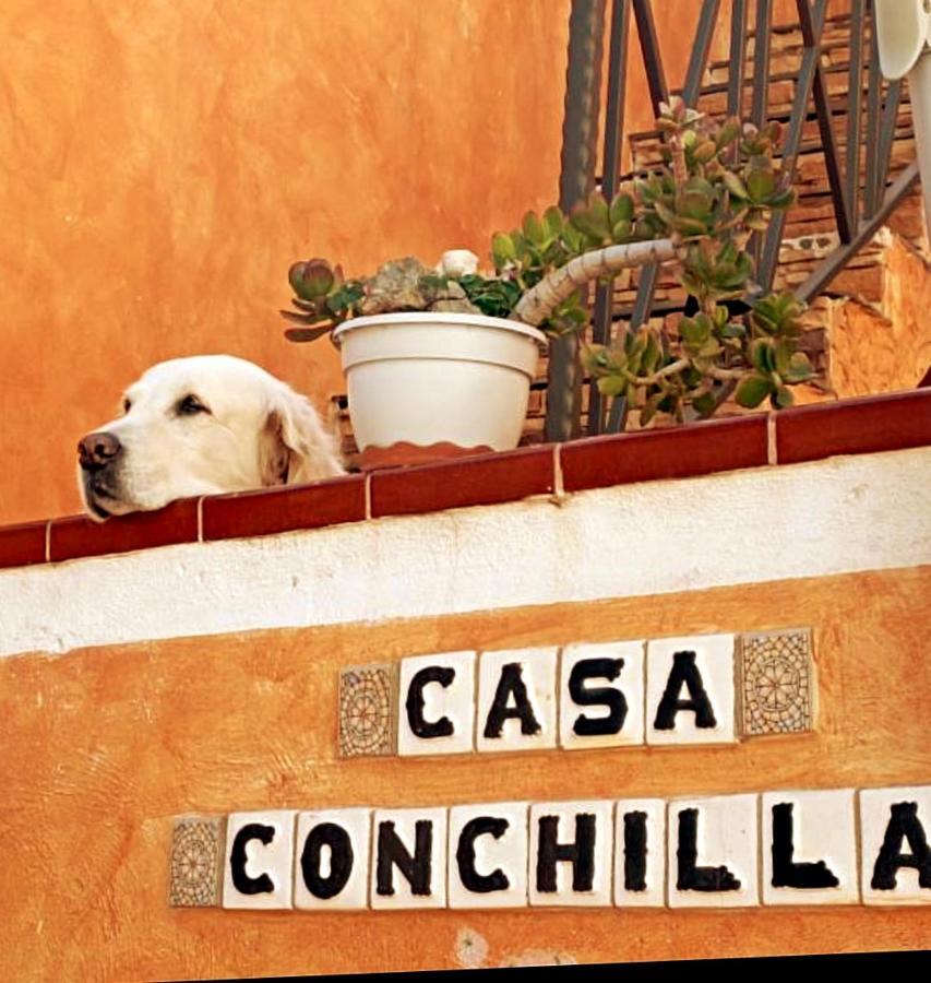 Apartament Casa Conchilla, La Casita Valle Gran Rey Zewnętrze zdjęcie